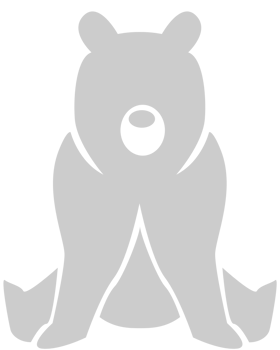 Bear vector