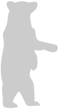 Bear standing vector