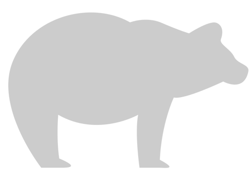 Bear vector
