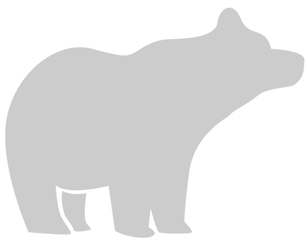 Bear vector