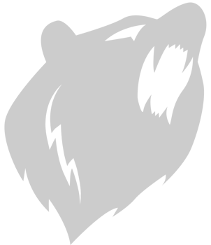 Bear vector