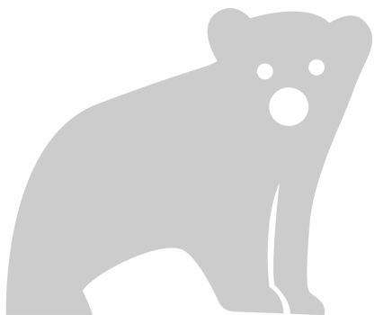 Bear vector
