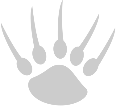 Bear vector