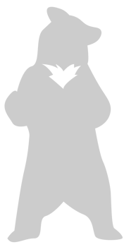 Bear standing vector