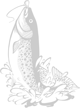 Fish vector