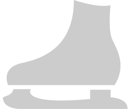 Skates vector