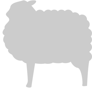 Sheep vector