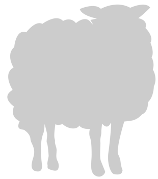 Sheep vector