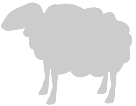 Sheep vector