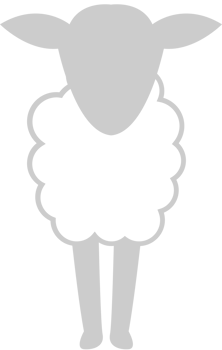 Sheep vector