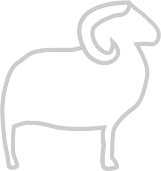 Sheep vector
