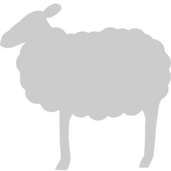 Sheep vector