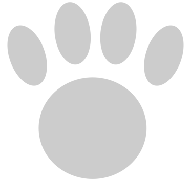 paw vector
