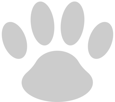paw vector