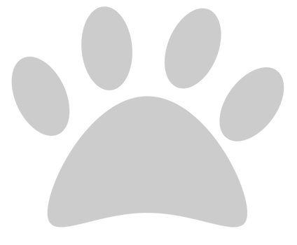 paw vector