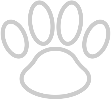 paw vector