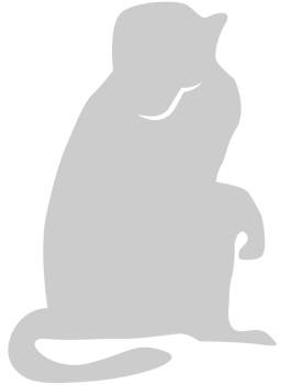 Monkey vector