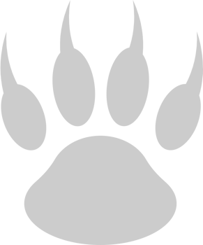 paw vector