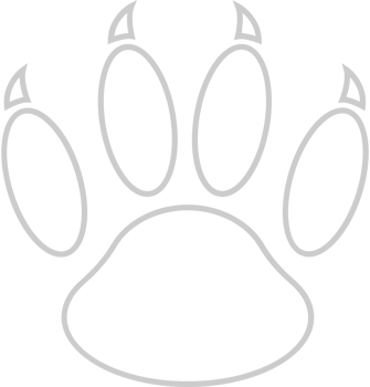 paw vector