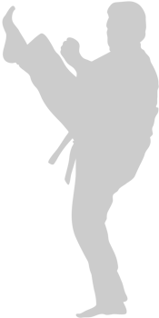 Martial Arts vector