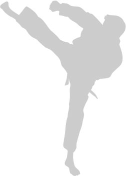 Martial Arts vector