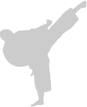 Martial Arts vector
