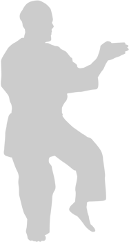 Martial Arts vector