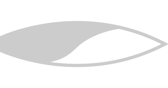 Surfing vector