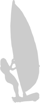 Surfing vector