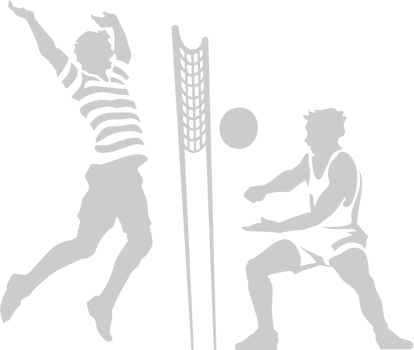 Volleyball vector