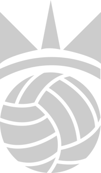 Volleyball vector