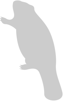Beaver vector