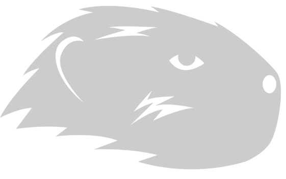 Beaver vector