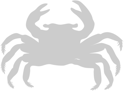 Crab vector