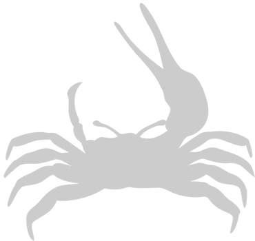 Crab vector