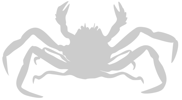 Crab vector