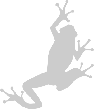 Frog vector