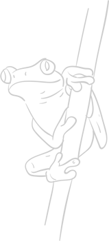 Frog vector