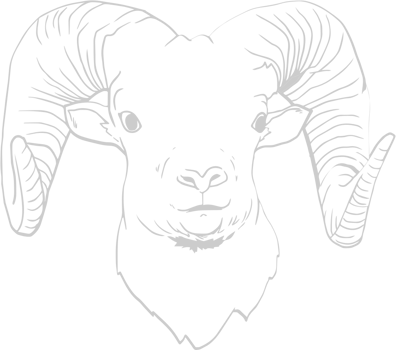 Ram vector