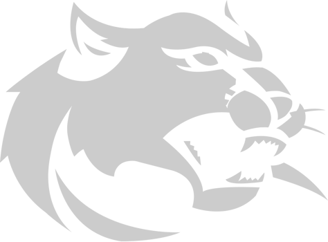 Wildcat vector