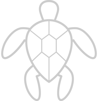Turtle vector