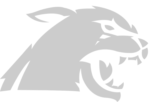 Wildcat vector