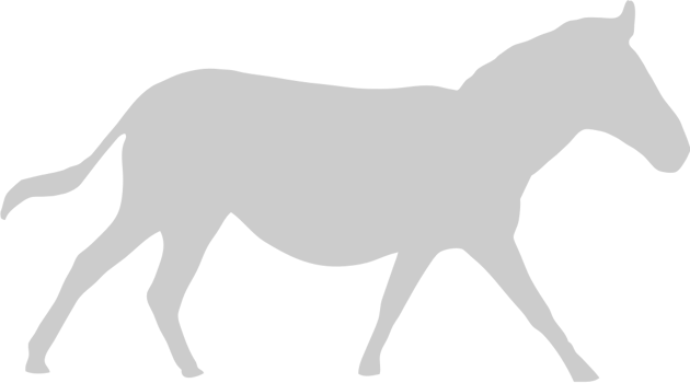 Zebra vector
