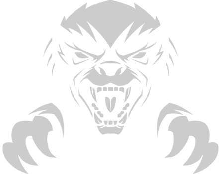 Badger vector