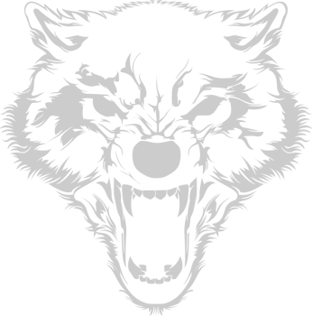 Wolf vector