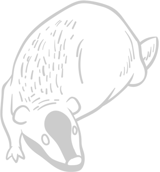 Badger vector