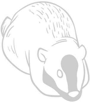 Badger vector