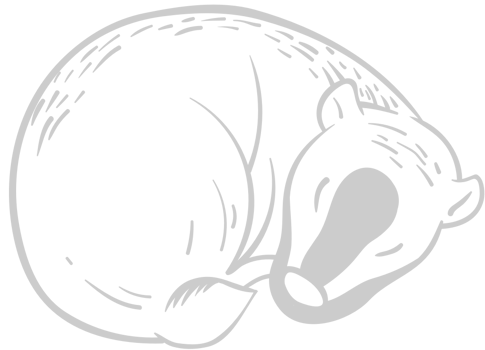 Badger vector