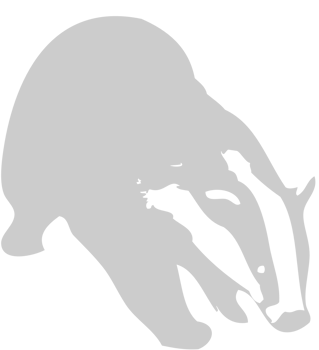 Badger vector