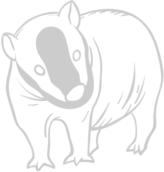 Badger vector